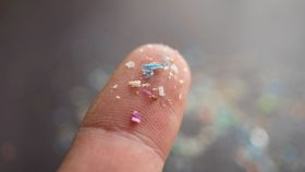 How and Why Microplastics Are Damaging Your Health