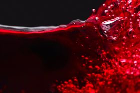 Wine Aerator vs. Decanter: Key Differences & Benefits