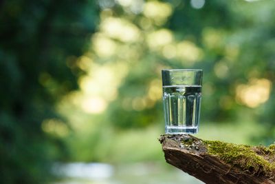 Glass of clean water in nature
