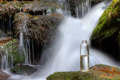 a bottle sitting on top of a moss covered rock