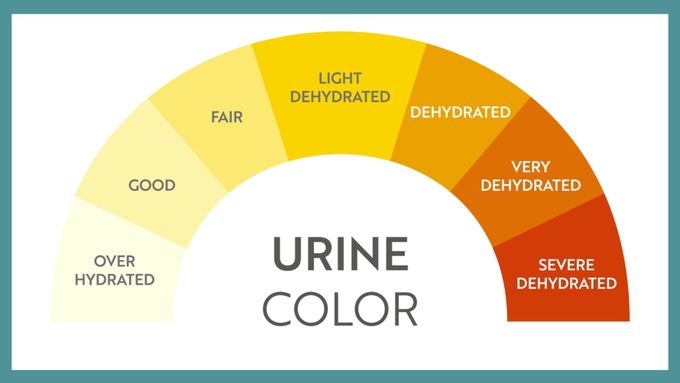a color wheel with the words urine color on it