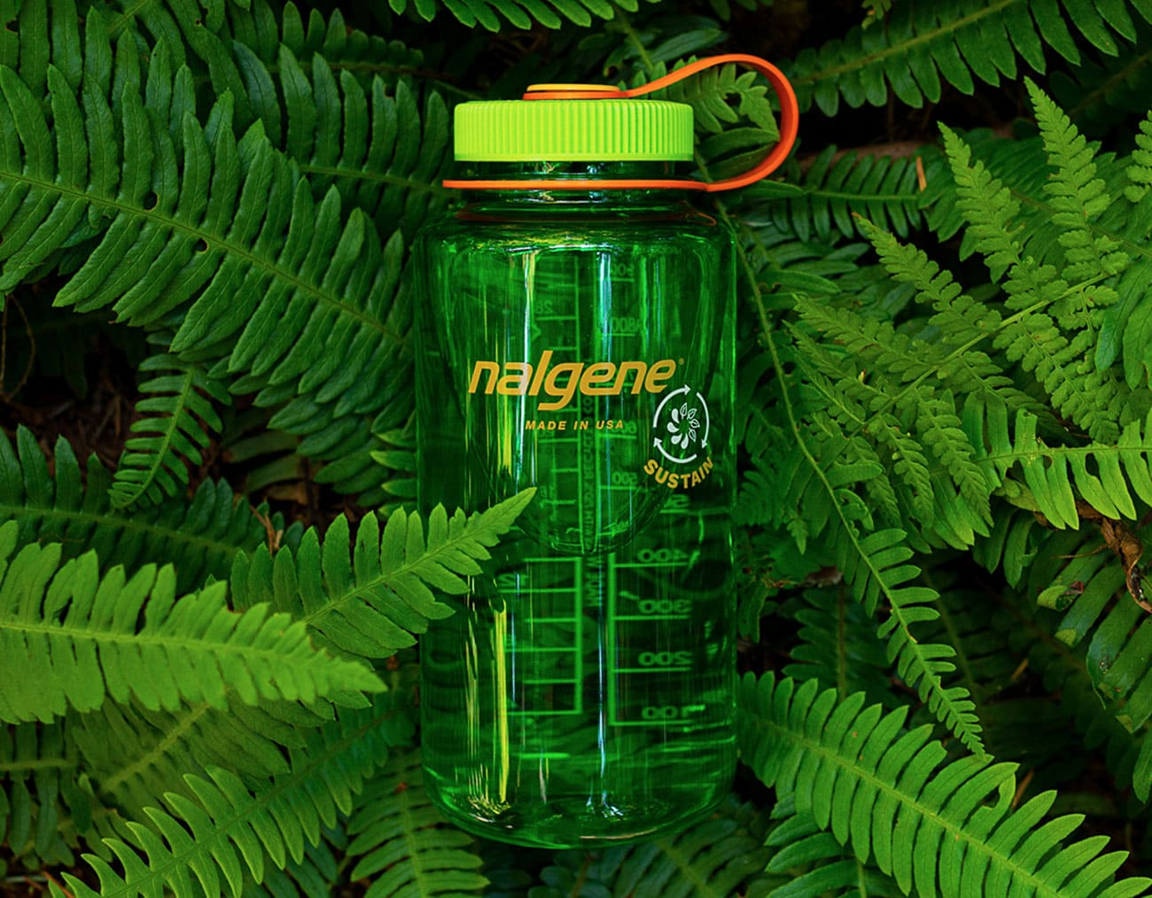 a green water bottle sitting on top of a lush green forest